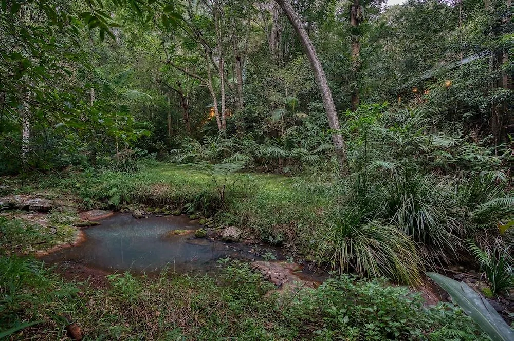 Lodge Narrows Escape Rainforest Retreat Montville