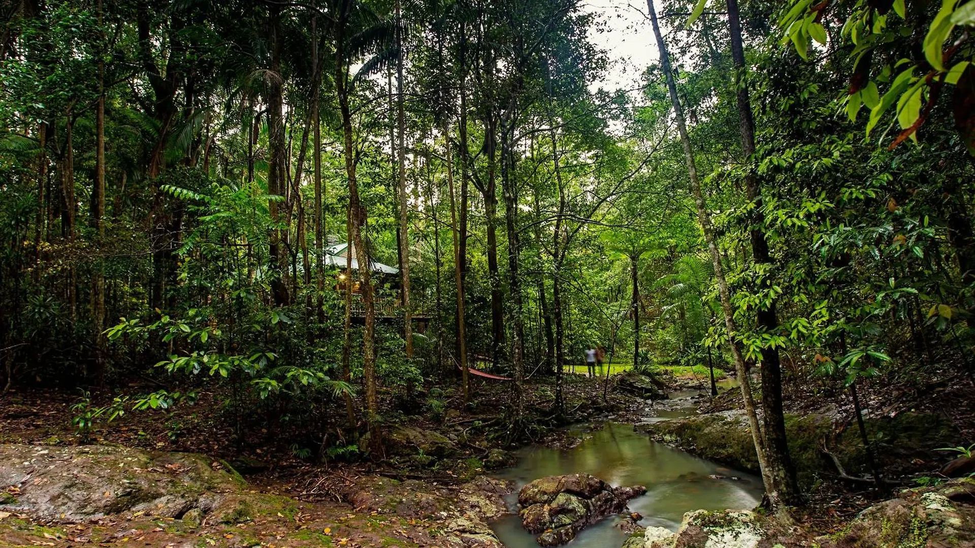Narrows Escape Rainforest Retreat Montville Australia