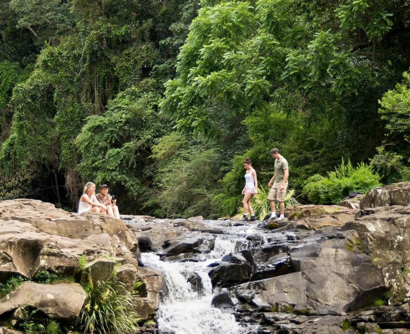 Narrows Escape Rainforest Retreat Montville Lodge
