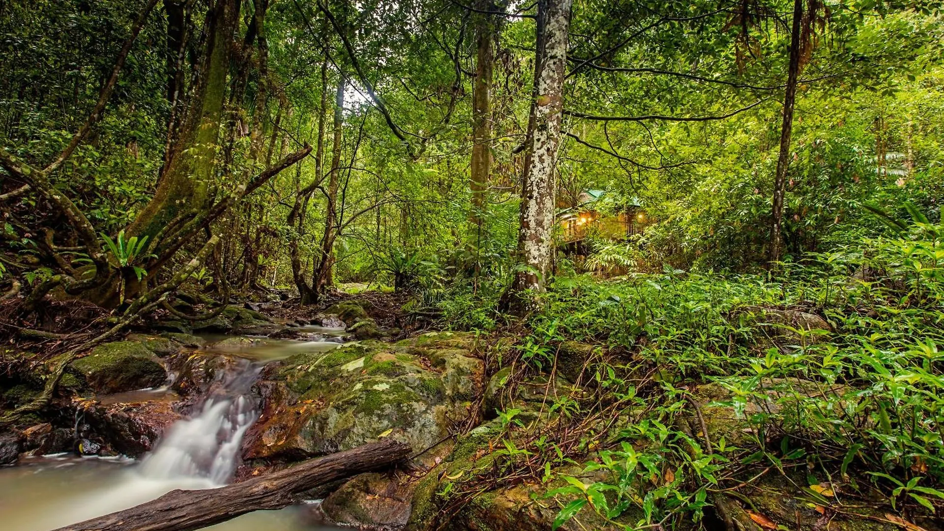 Narrows Escape Rainforest Retreat Montville 0*,  Australia