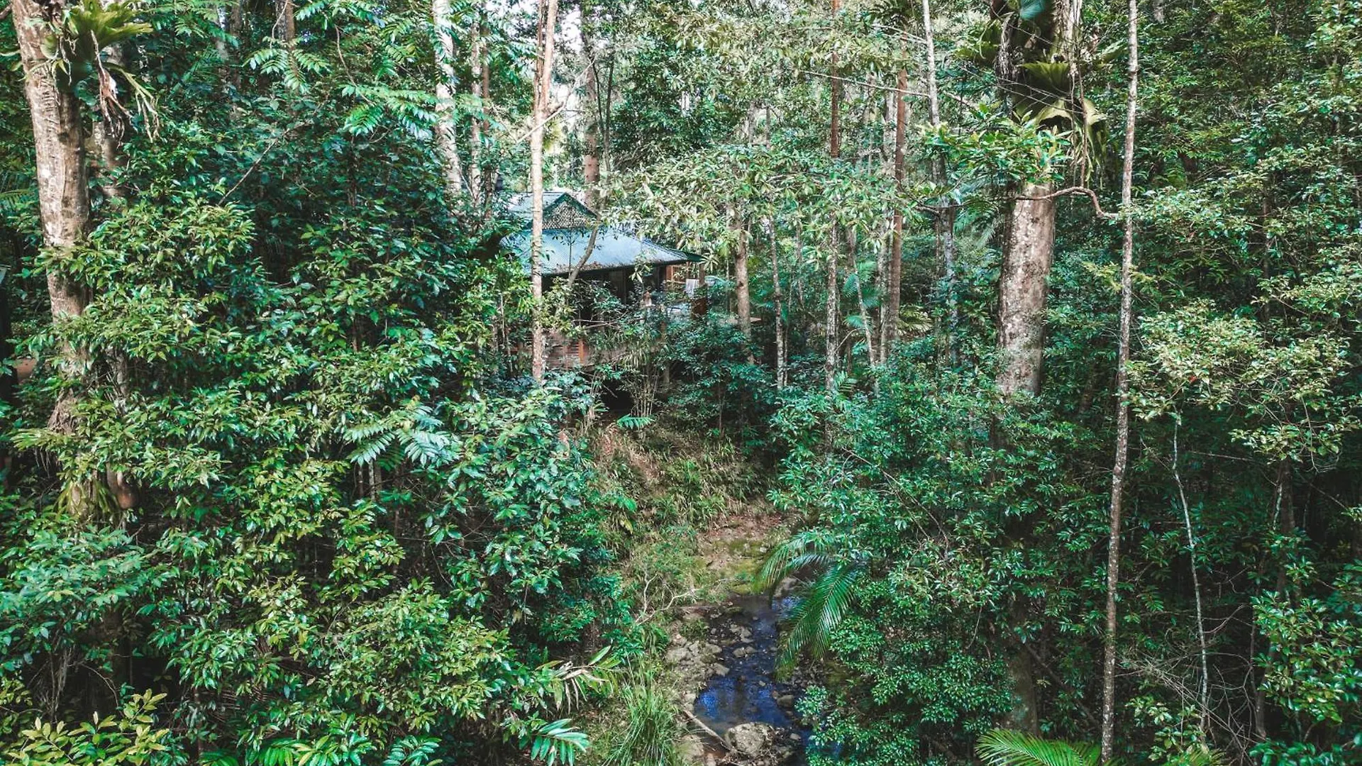 Narrows Escape Rainforest Retreat Montville