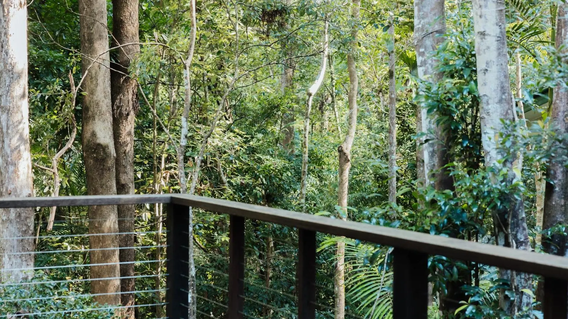 Narrows Escape Rainforest Retreat Montville 0*,