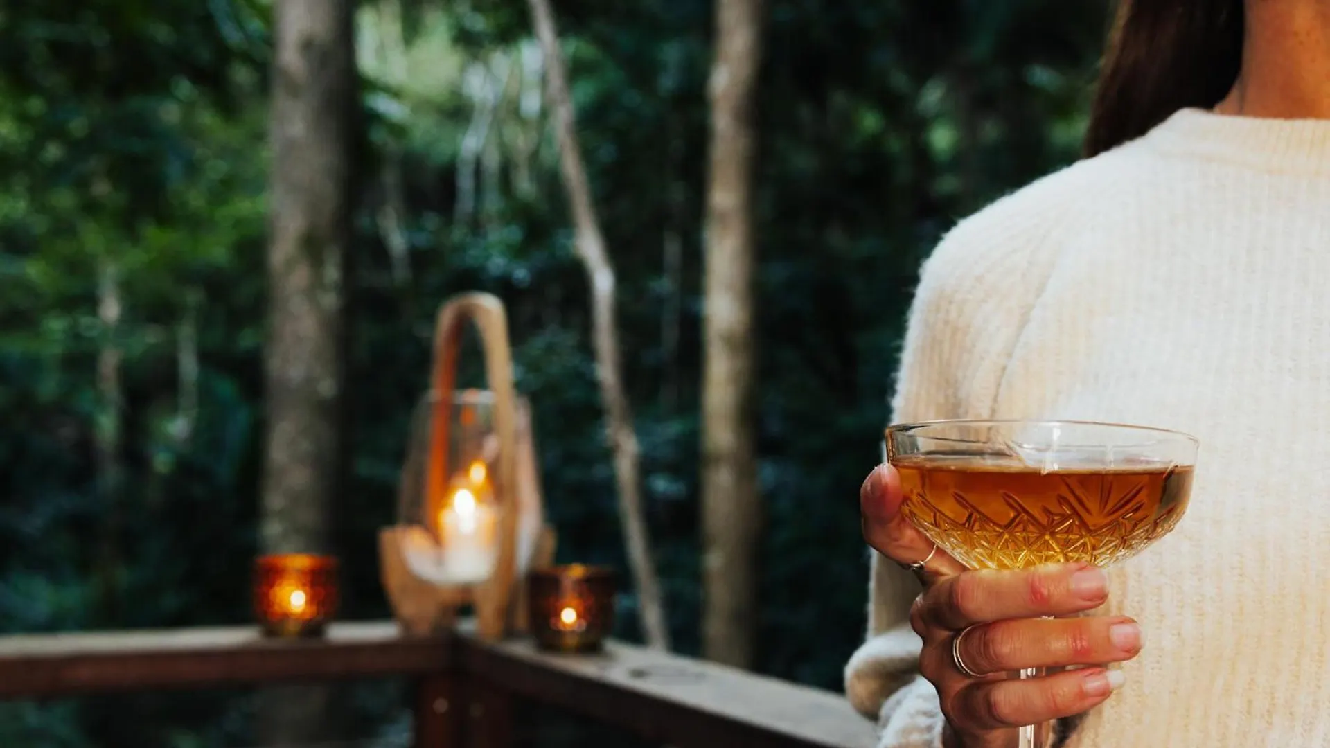 Narrows Escape Rainforest Retreat Montville Lodge