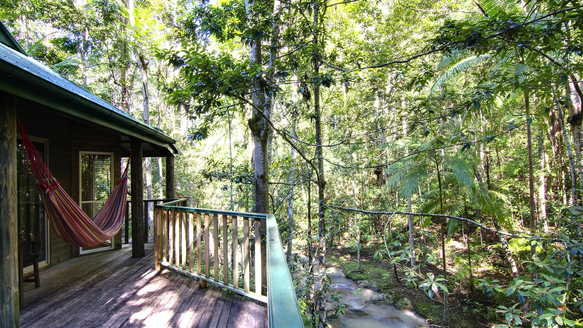 Narrows Escape Rainforest Retreat Montville Lodge