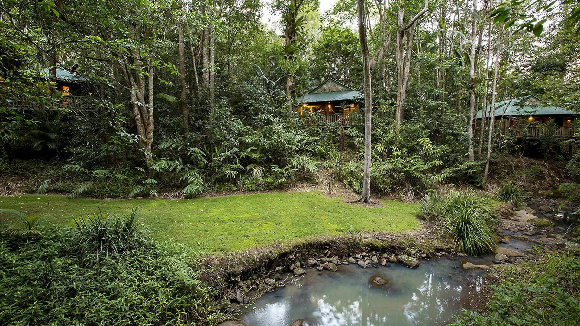 Narrows Escape Rainforest Retreat Montville Lodge
