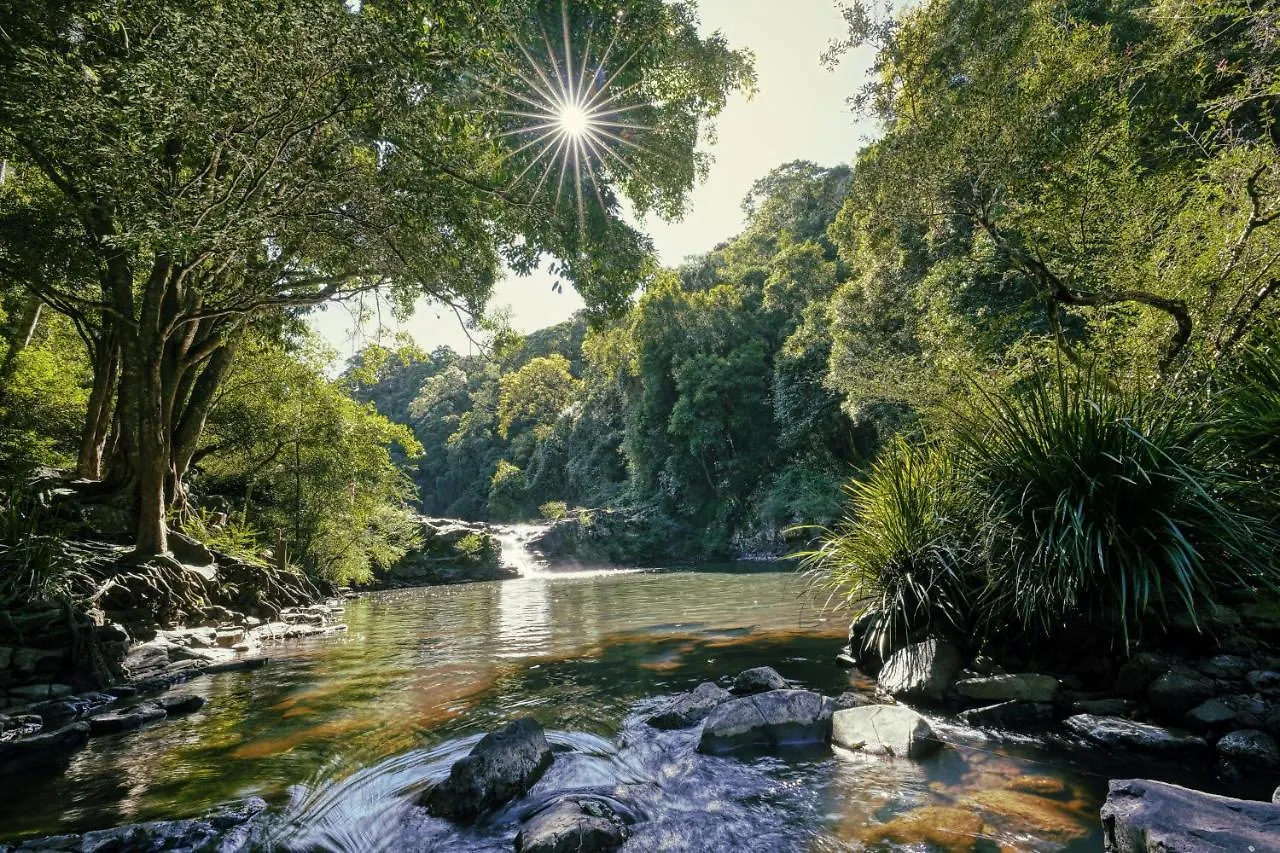 Lodge Narrows Escape Rainforest Retreat Montville