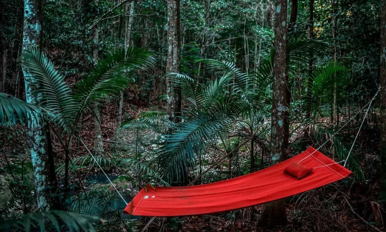 Narrows Escape Rainforest Retreat Montville Lodge