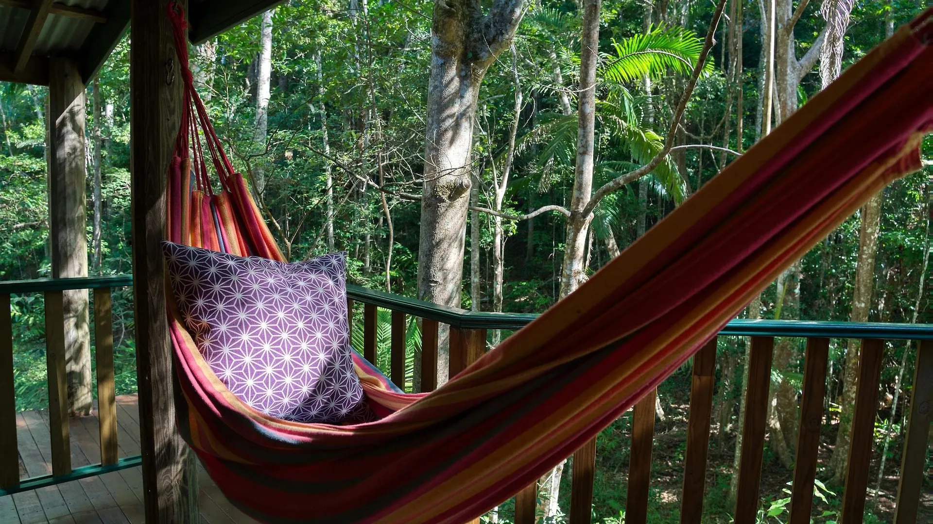 Narrows Escape Rainforest Retreat Montville Australia