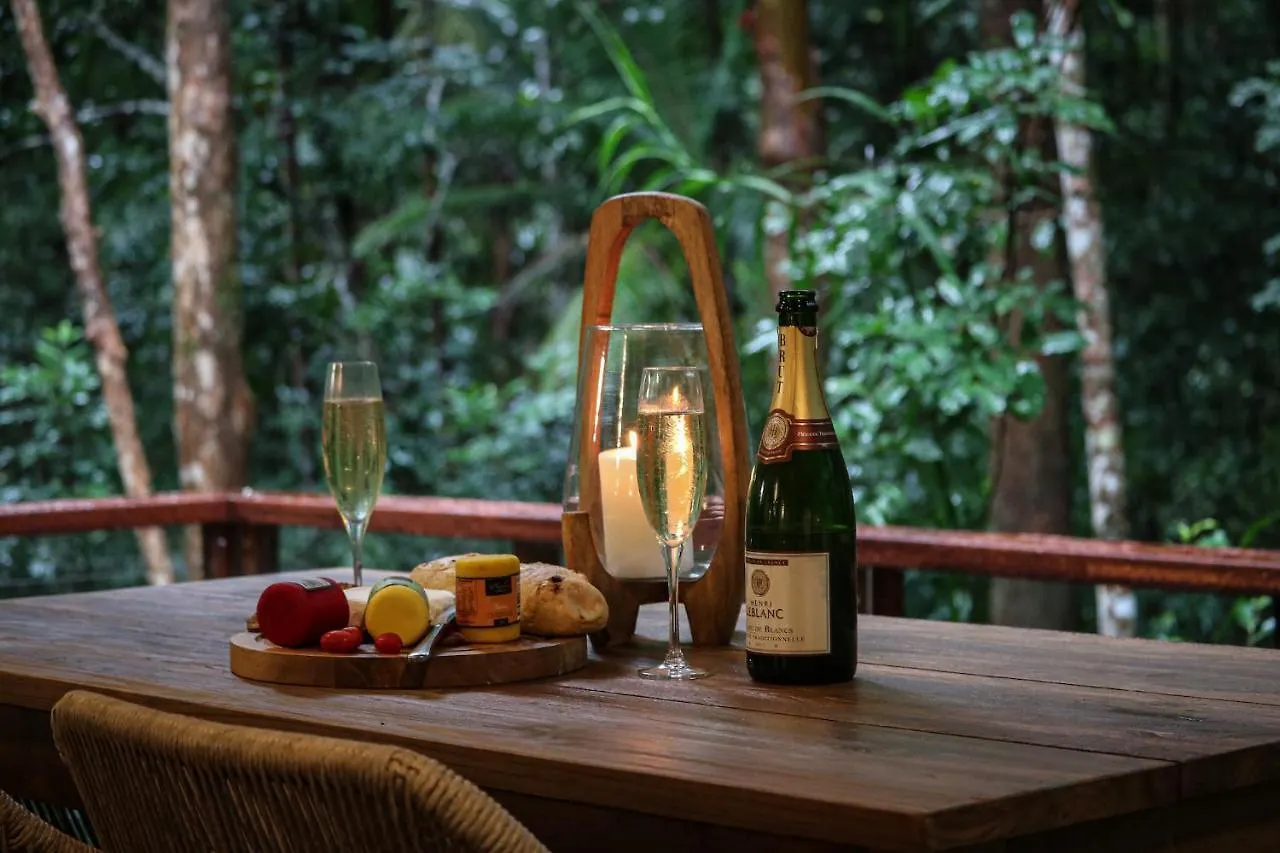 Lodge Narrows Escape Rainforest Retreat Montville Australia