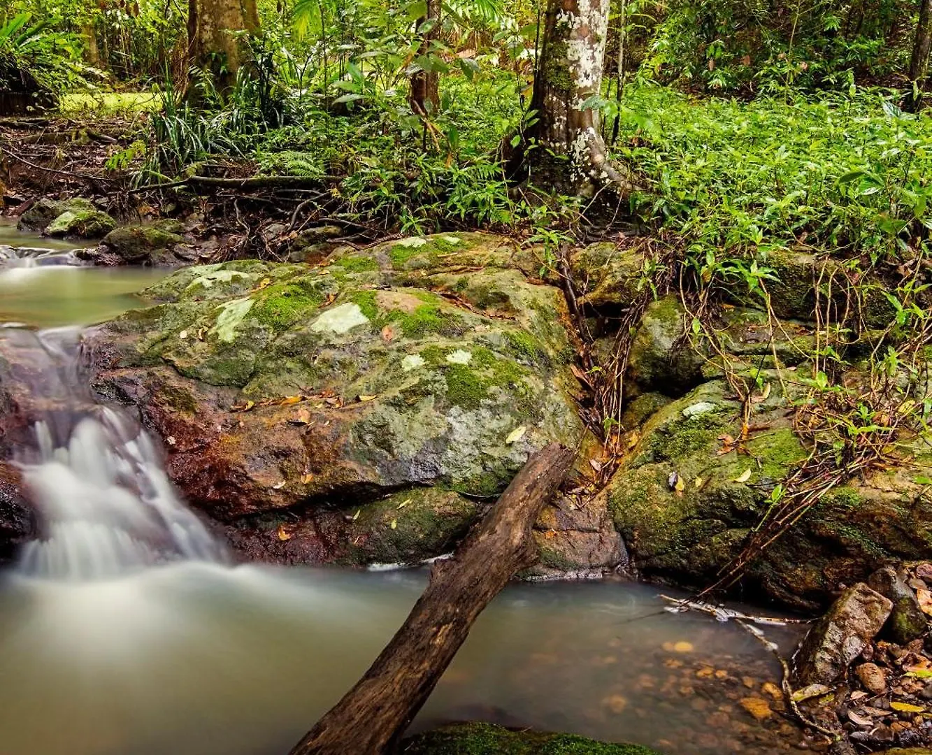 Narrows Escape Rainforest Retreat Montville Australia
