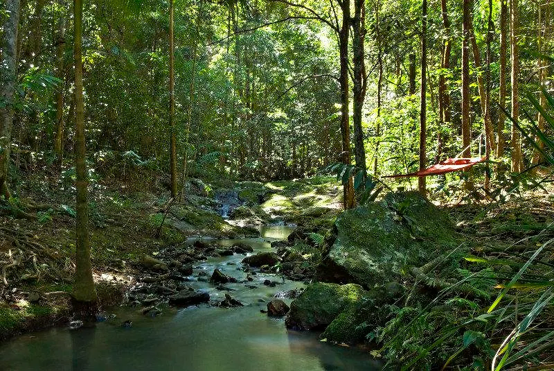 Narrows Escape Rainforest Retreat Montville Lodge