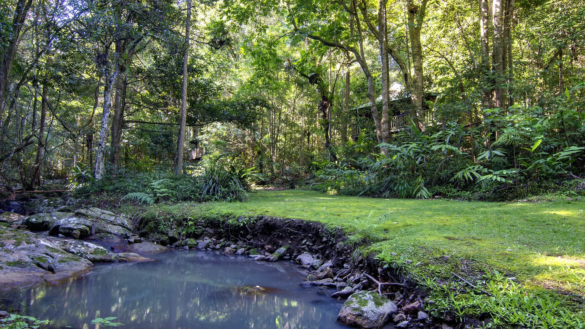 Narrows Escape Rainforest Retreat Montville Lodge