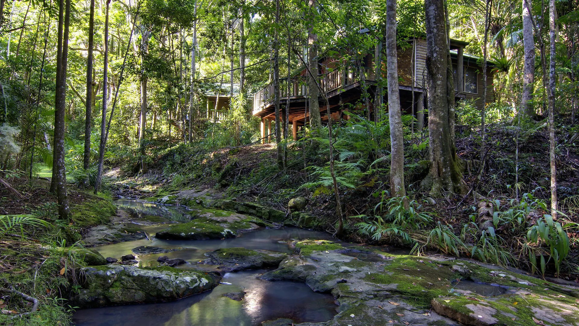 Narrows Escape Rainforest Retreat Montville